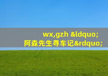 wx,gzh “阿森先生寻车记”